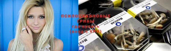 дмт Белоозёрский