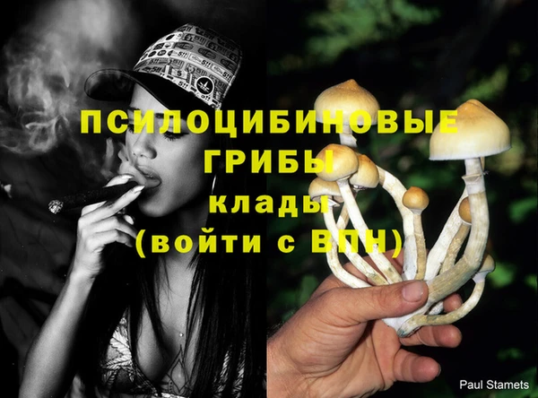 каннабис Белокуриха